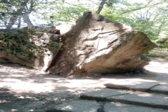 b3