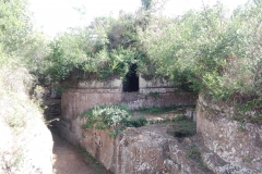 h11