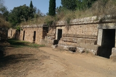 h16