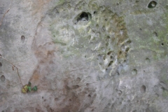 Krvomlýn (28)