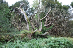 27544804_1534090763326148_246604153678438990_n