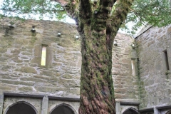 27750047_1534090703326154_1482815642762807888_n