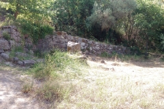 studna1