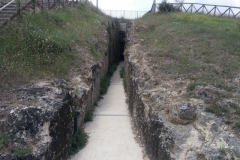 t16