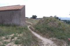 t26