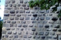 zvik4