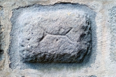 zvik5