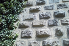 zvik8