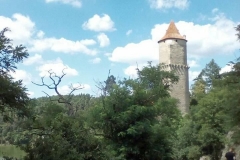 zvikov1